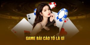Tổng quan về bài cào tố