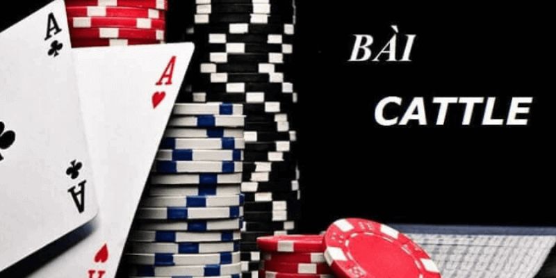 Bài Catte lợi ích khi chơi