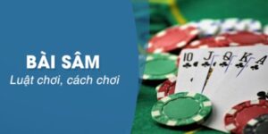 Sức hút của bài Sâm