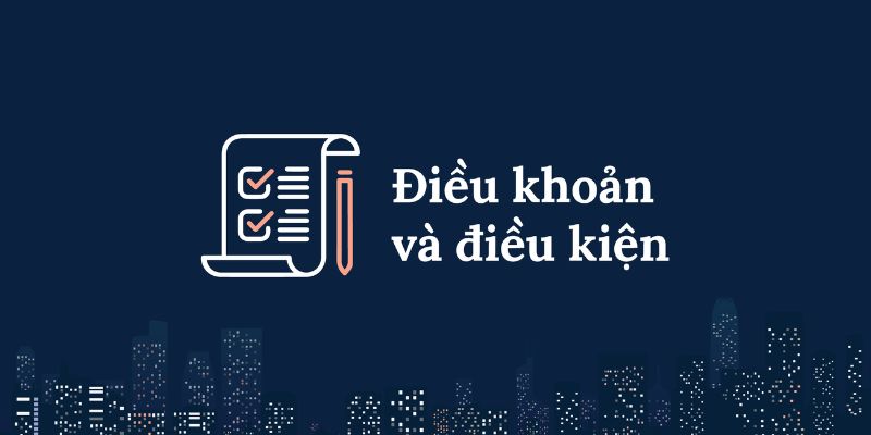 Vai trò điều khoản và điều kiện